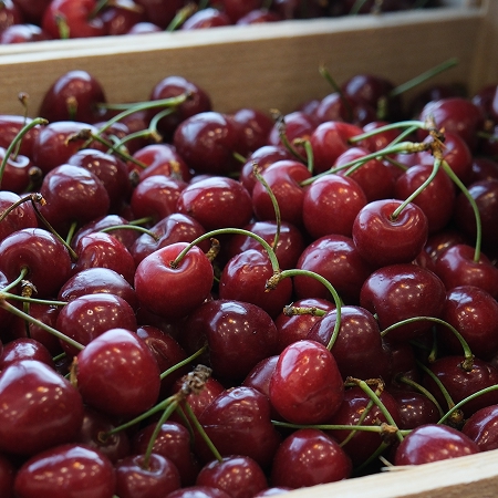 Cerises brillantes